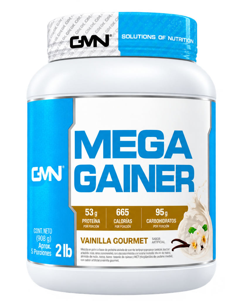 Mega Gainer 5Lb